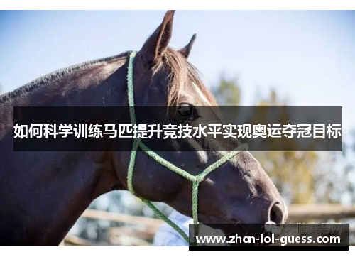 如何科学训练马匹提升竞技水平实现奥运夺冠目标